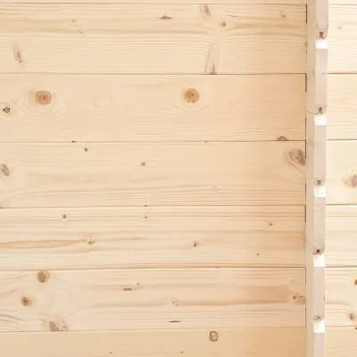 Abri de jardin en bois adossé Jack 2 x 1 m pour outils, porte double vitrée, 198 x 98 cm