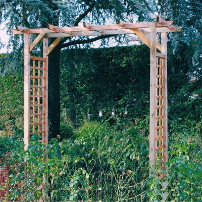 Pergola pour rosiers 210x49x220 cm en bois traité en autoclave