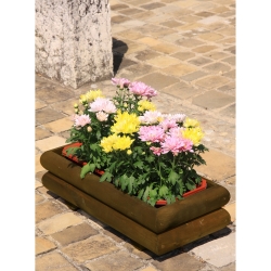 Jardinière d'extérieur Fairy en bois couleur châtaigne 57x25x16 cm